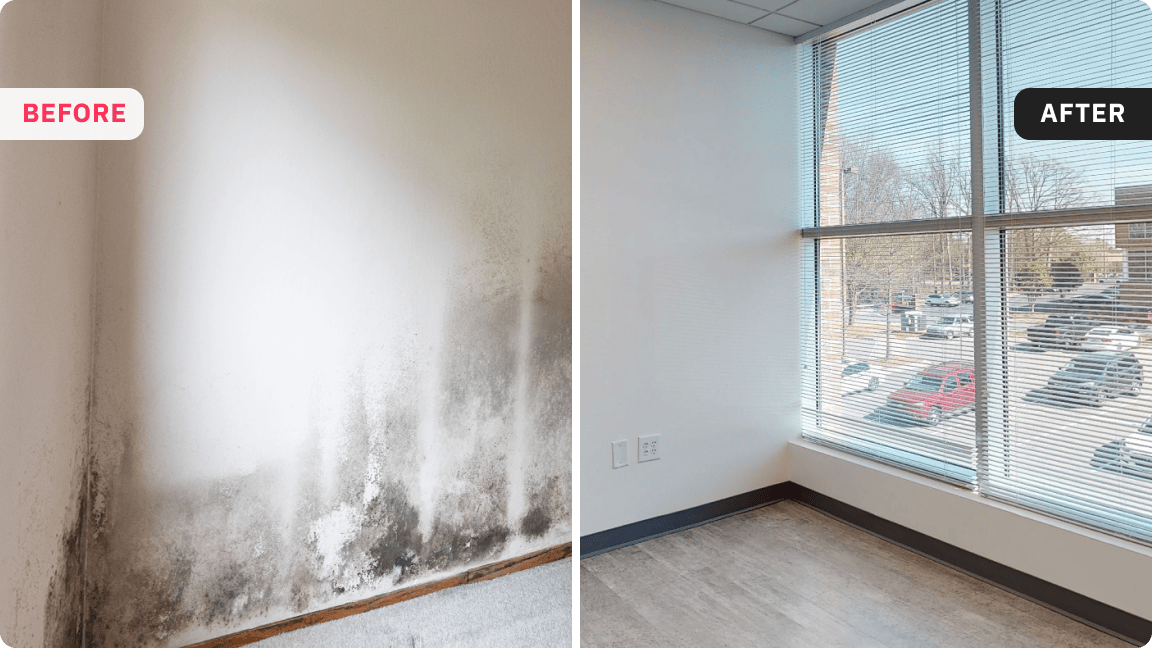 Time-stamped visual records